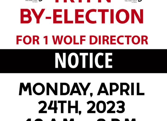BY ELECTIONS APRIL 2023 WOLF DIRECTOR